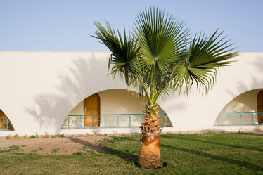 Similar image 616654