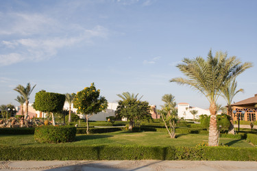 Similar image 616657