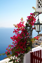 Similar image 616720