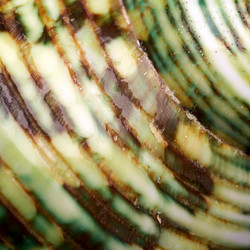 Similar image 616721