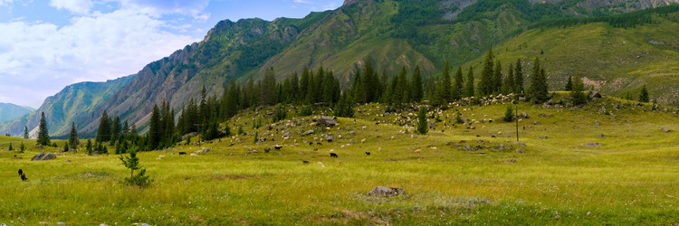 Similar image 616723