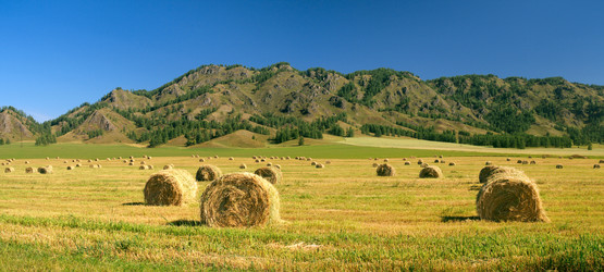 Similar image 616727