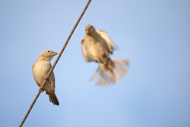 Similar image 616776