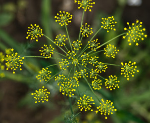 Similar image 616827