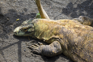 Similar image 616868