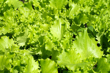 Similar image 616886