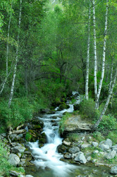 Similar image 616897