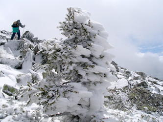 Similar image 616941