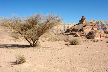 Similar image 617022