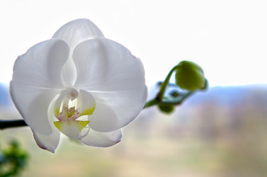 Similar image 617046