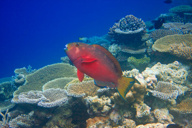 Similar image 617075