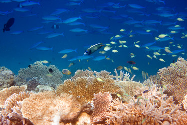 Similar image 617078