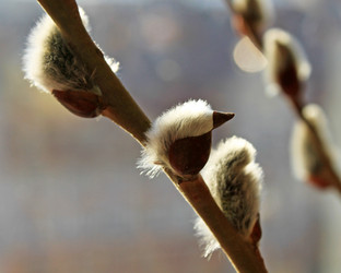 Similar image 617088