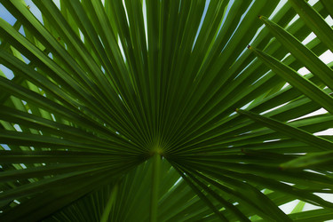 Similar image 617120