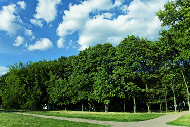 Similar image 617128