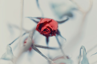 Similar image 617146