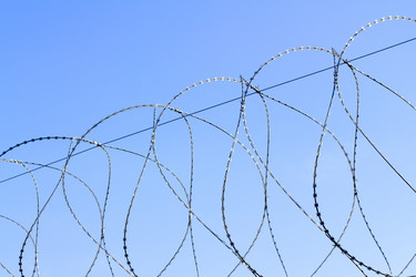 Similar image 617219