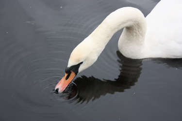 Similar image 617223