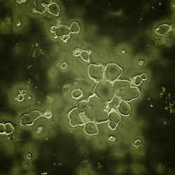 Similar image 617237