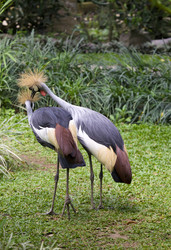 Similar image 617276