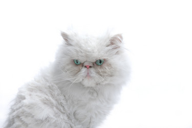 Similar image 617283