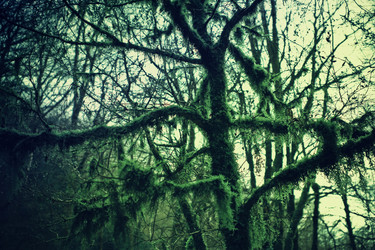 Similar image 617285