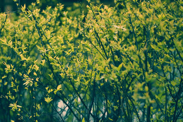 Similar image 617288