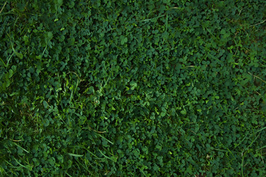 Similar image 617335