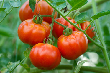 Similar image 617344