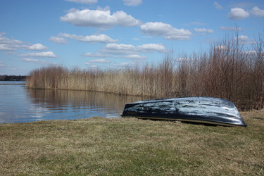 Similar image 617407