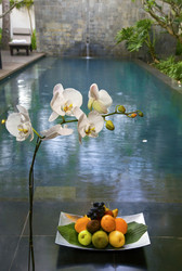 Similar image 617408