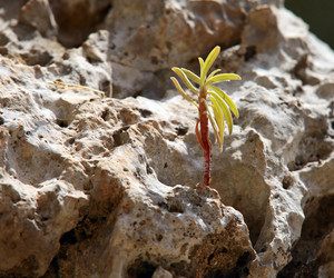 Similar image 617415