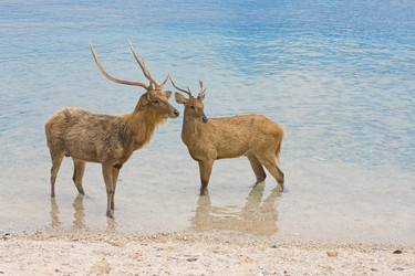 Similar image 617429