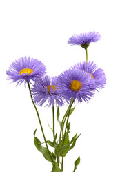 Similar image 617444