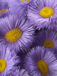 Similar image 617446