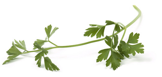 Similar image 617496