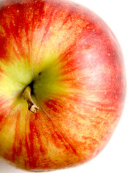 Similar image 617509