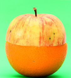 Similar image 617513