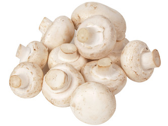 Similar image 617569