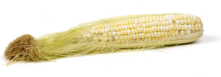 Similar image 617572