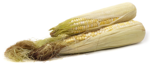 Similar image 617573