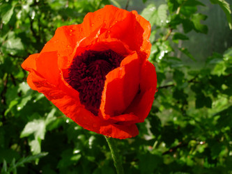 Similar image 617605