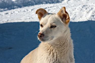 Similar image 617671