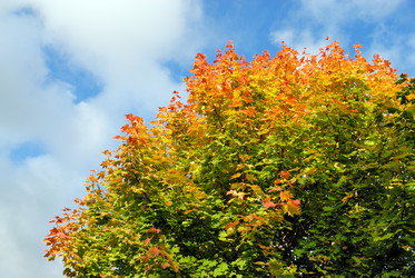 Similar image 617778