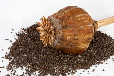 Similar image 617845