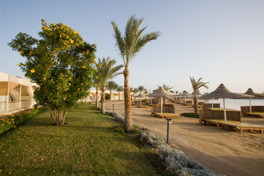 Similar image 618006