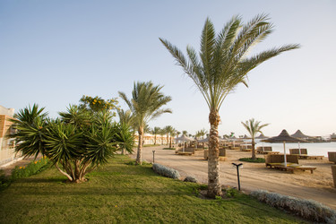 Similar image 618009