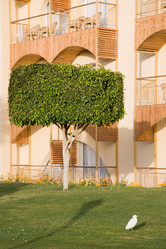 Similar image 618025