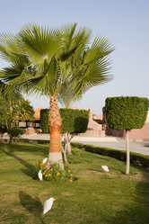 Similar image 618026