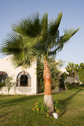 Similar image 618027